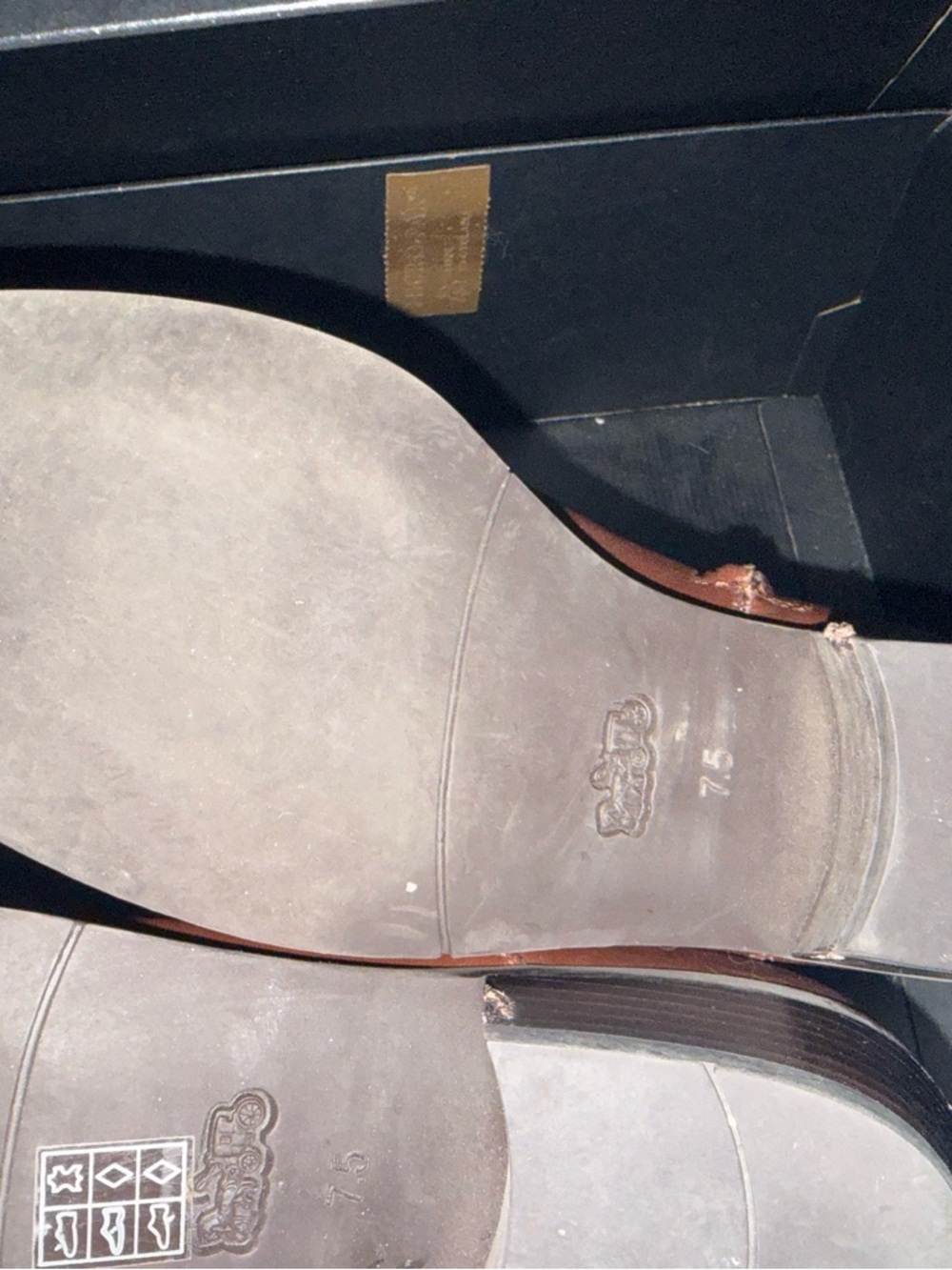 Coach Dylan Walnut Booties - Picture 15 of 16